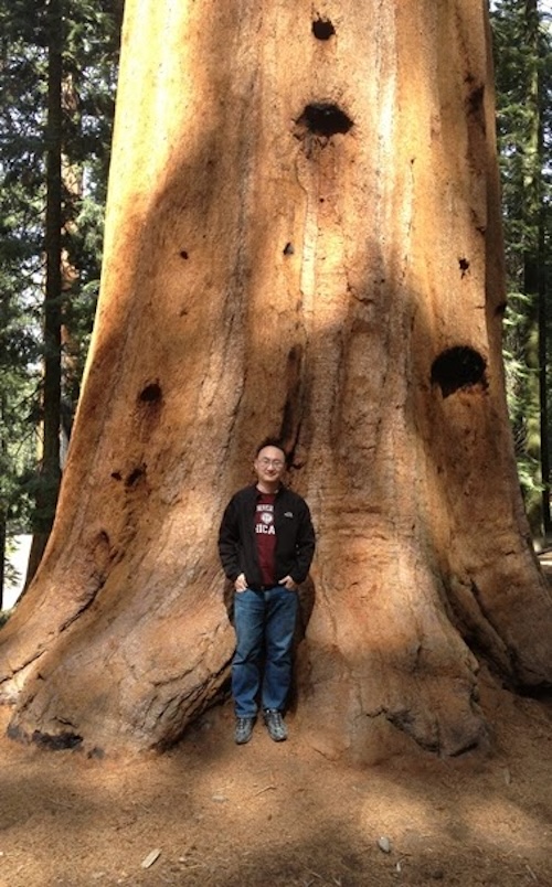 Short man wearing a dark jacket and blue jeans standing in front of a very large tree.