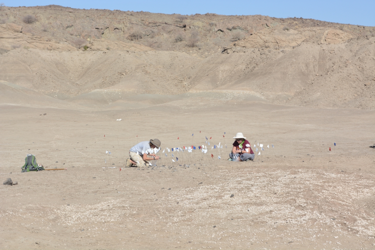 A light brown arid flat area with hills in the background. Two people sitting, surrounded by many small flags.