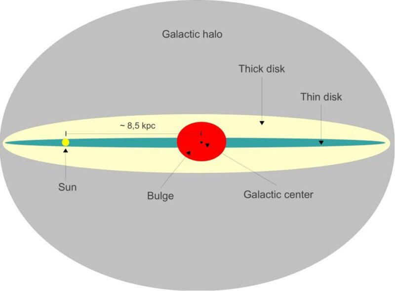 Large gray oval, thinner yellow one, and almost flat blue one, and a red bulge in the middle.