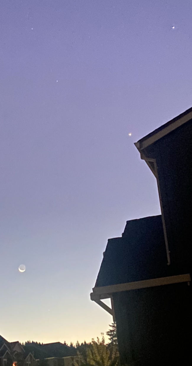 Jupiter, Venus, the moon, and Mercury (low in the sky and near the horizon) at dawn.