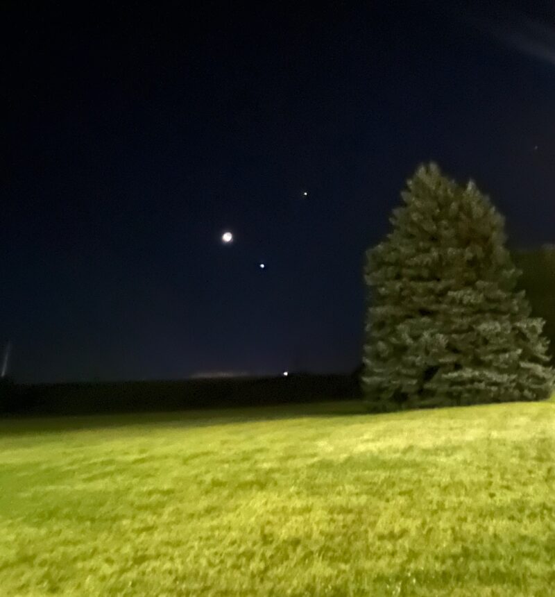 Dark sky with a big dot for the moon and other 2 dots nearby. Grass and a tree in the foreground.