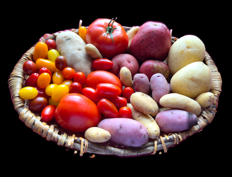 A basket with assortment of multicolored tomatoes and potatoes of different sizes.