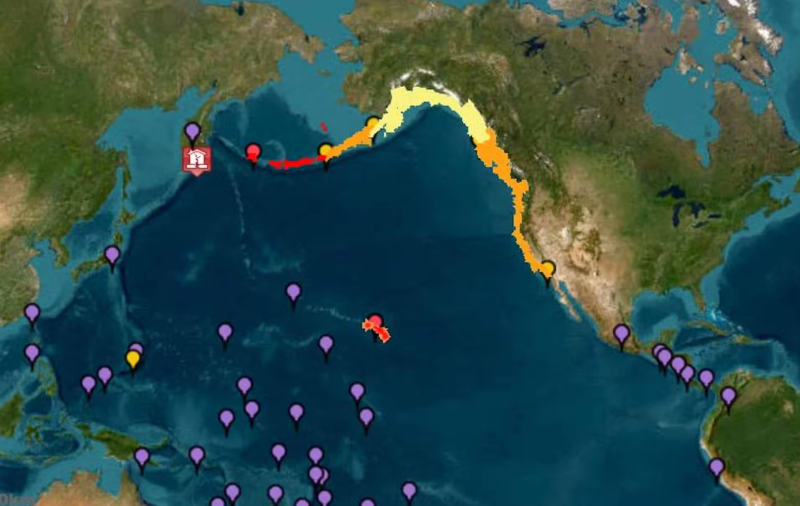 Tsunami: Satellite map of Pacific region, with many colored dots at the seacoasts and scattered across the ocean.