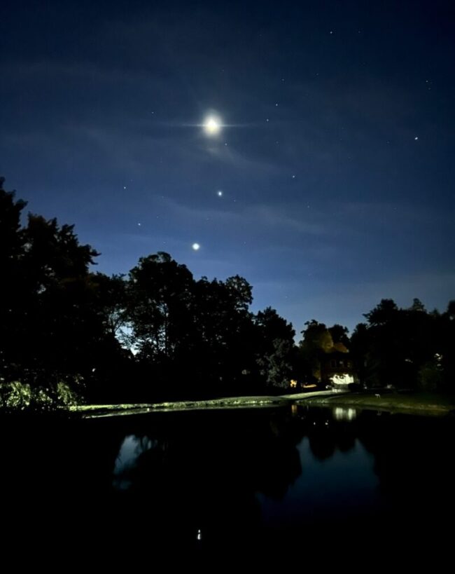 Dark blue sky with bright moon, stars, and planets, reflected in water surface below some trees.