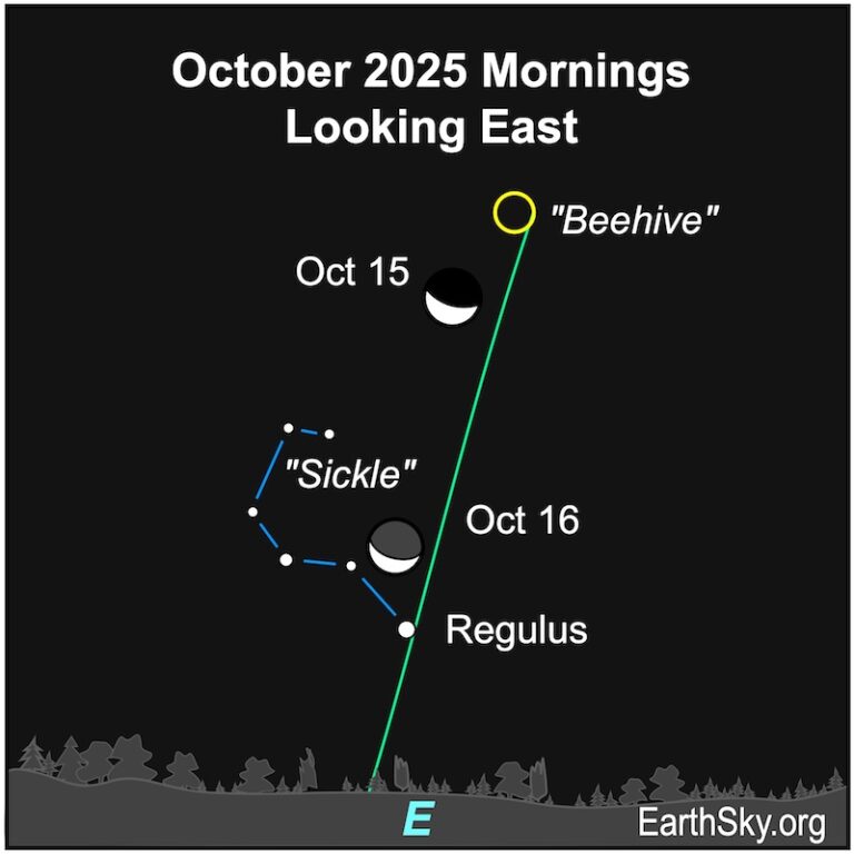 Visible planets and night sky guide for October