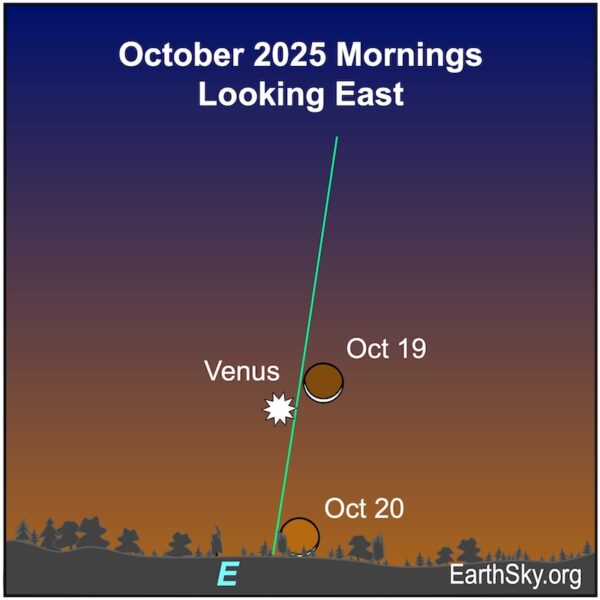 Visible planets and night sky guide for October