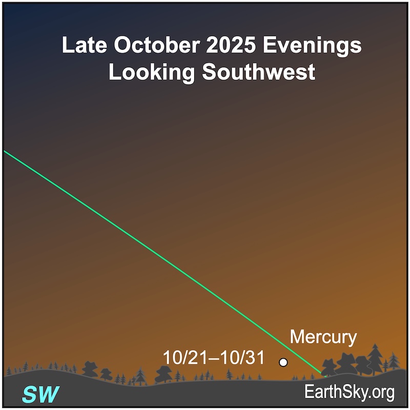 A dot, Mercury, lies immediately above a wavy line, the horizon.
