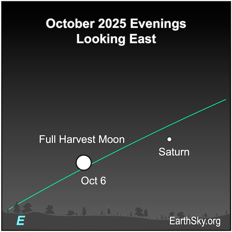 Harvest moon: A disk, the full moon, is near a dot, Saturn. They are both above a wavy line, the eastern horizon.