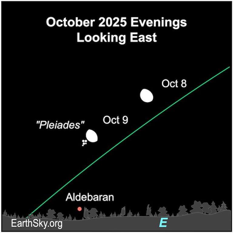 Visible planets and night sky guide for October