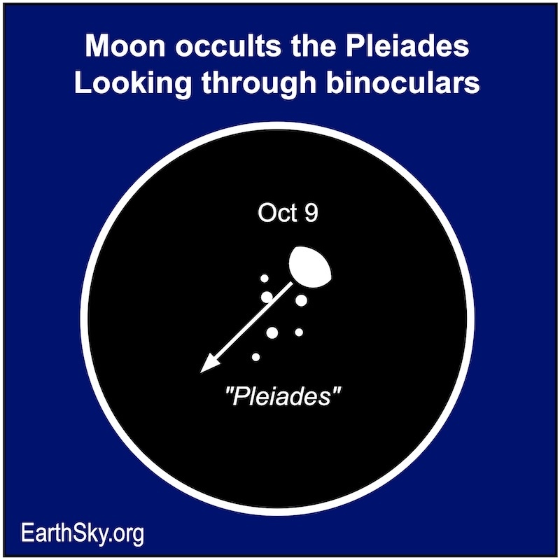 Round sky chart with an arrow from the bulging moon going right through the scattered dots of the Pleiades.