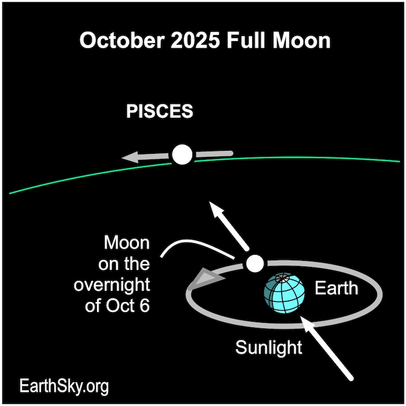Chart showing an arrow passing a disk, Earth, then passing a smaller disk, the moon.