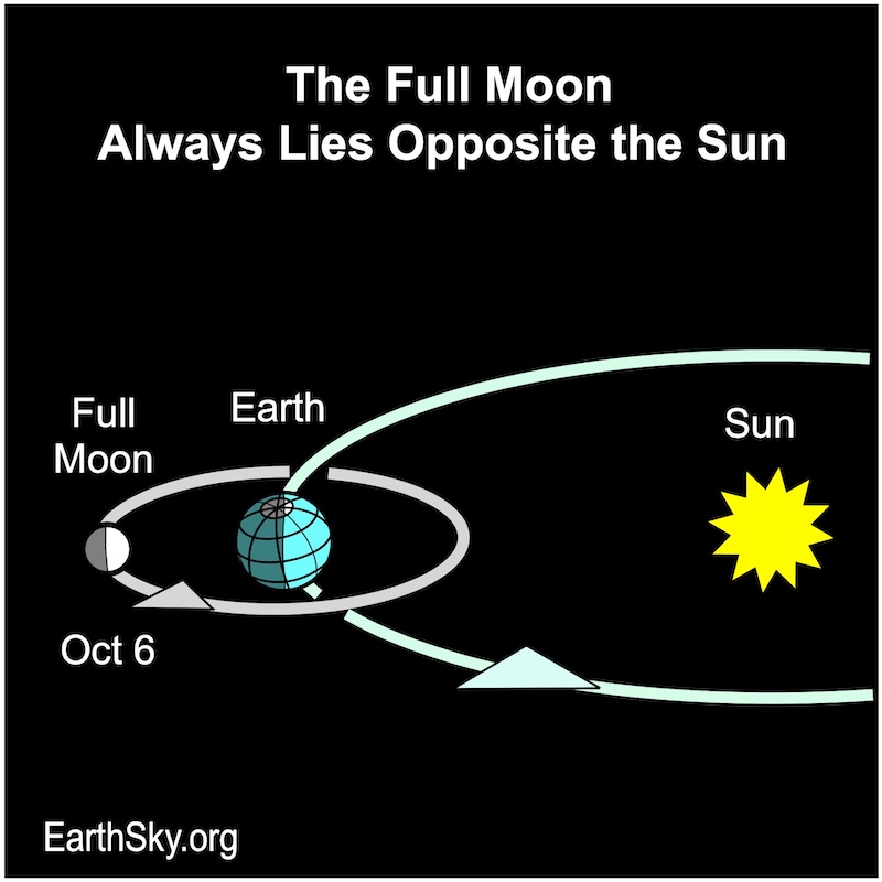 Chart showing, all in a row, a large starred disk, the sun, a disk, Earth, and a small disk, the moon.
