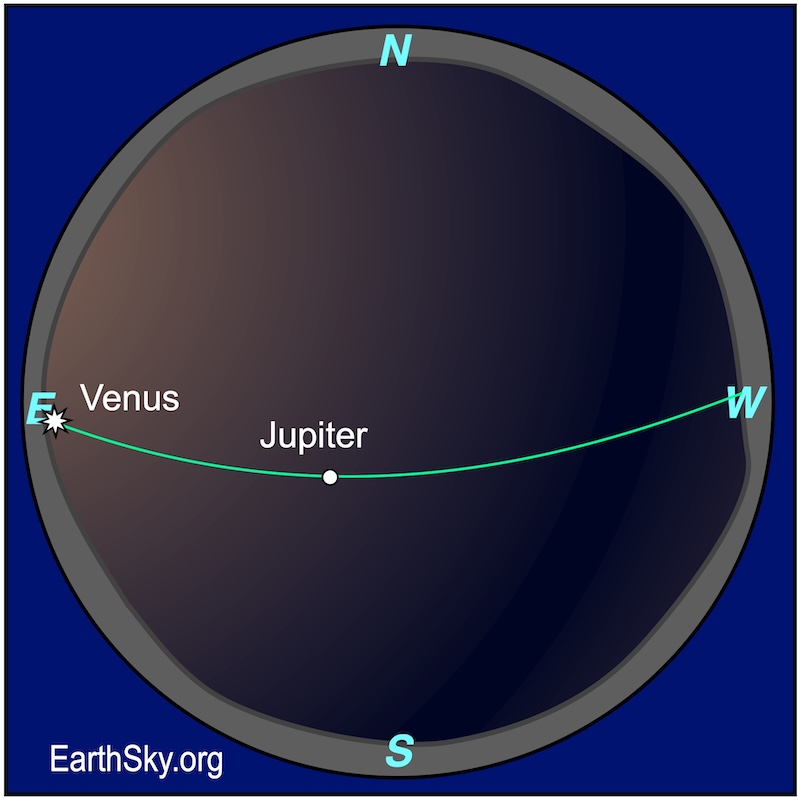 Sphere chart showing a starred dot, Venus, hugging a wavy line, the eastern horizon. Above it is a dot, Jupiter.