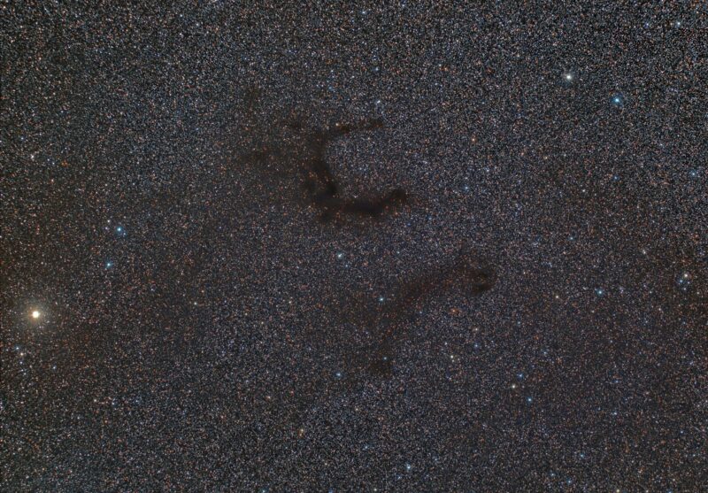 Rich star field with an E-shaped, dark nebulous region.