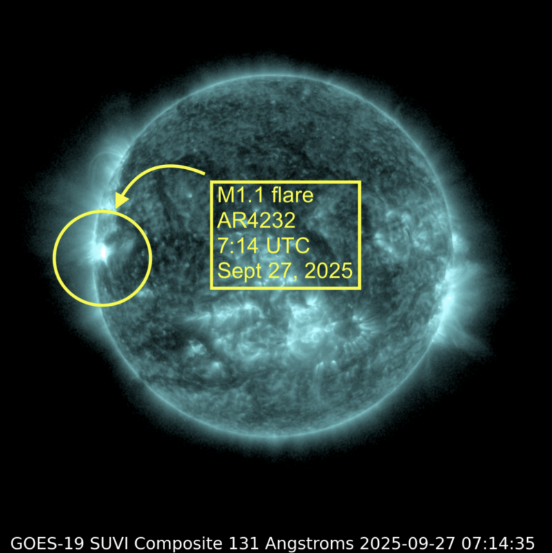 sun news