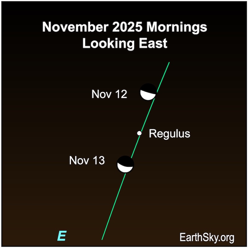 A hemisphere, the moon, is above a dot, the star Regulus on the first morning. On the second, the hemsphere has moved below the dot.
