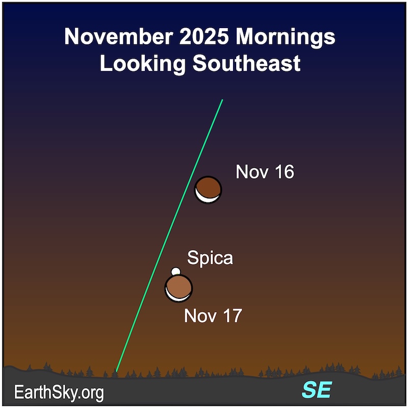A crescent shape, the moon, is above a dot, the star Spica, on the first morning. On the next, the crescent shape has moved below and next to the dot. They are all above a horizontal wavy line, the horizon.