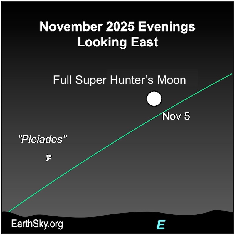 Super Hunter's Moon: A disk, the full moon, is to the upper right of five small dots, the Pleiades star cluster. They are all above a wavy line, the eastern horizon.