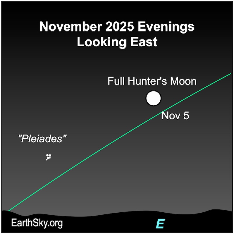 Super Hunter's Moon: A disk, the full moon, is to the upper right of five small dots, the Pleiades star cluster. They are all above a wavy line, the eastern horizon.
