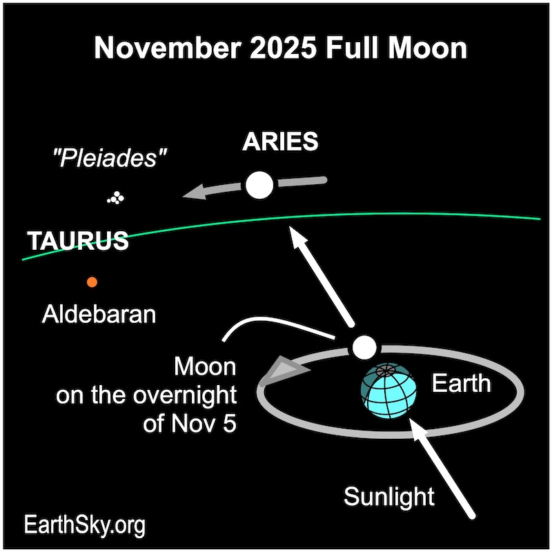 Chart showing an arrow passing a disk, Earth, then passing a smaller disk, the moon.