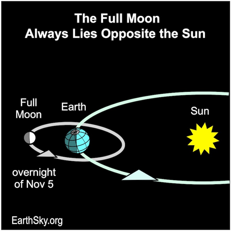 Chart showing, all in a row, a large starred disk, the sun, a disk, Earth, and a small disk, the moon.