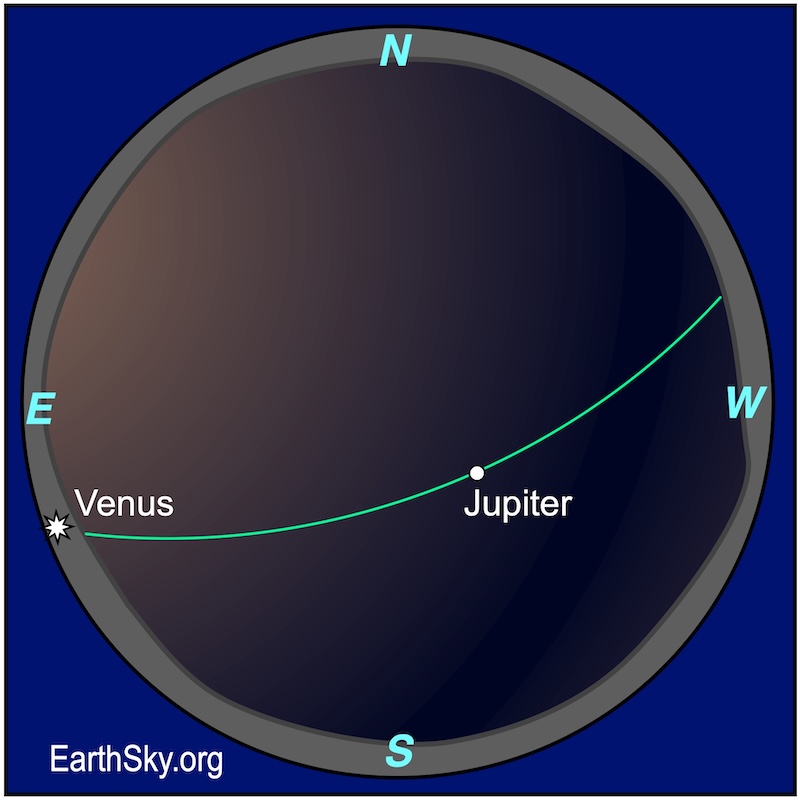 Sphere chart showing a starred dot, Venus, hugging a wavy line, the eastern horizon. Above it and above the southwestern horizon line is a dot, Jupiter.