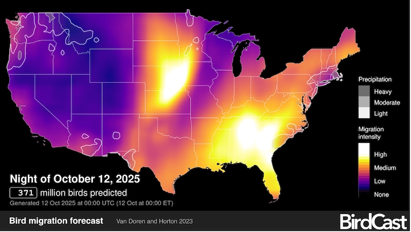 Map of the US with purple in the west and bright patches in the Great Plains and southeast.