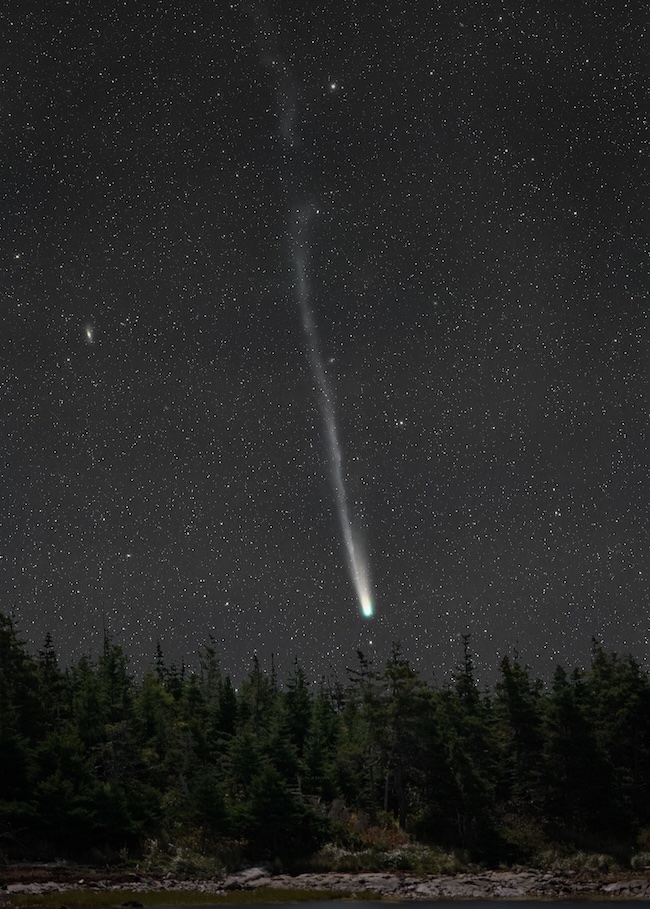 Comet with a very long, thin, somewhat wavery tail in a starry sky with pine trees in the foreground.