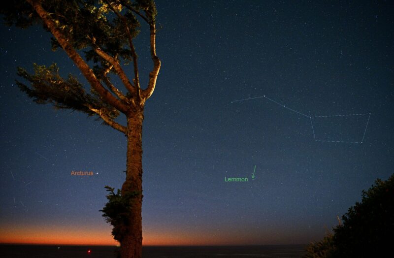 A nearly bare tree with a darkening sky behind showing the Big Dipper and a small fuzzy comet below it.
