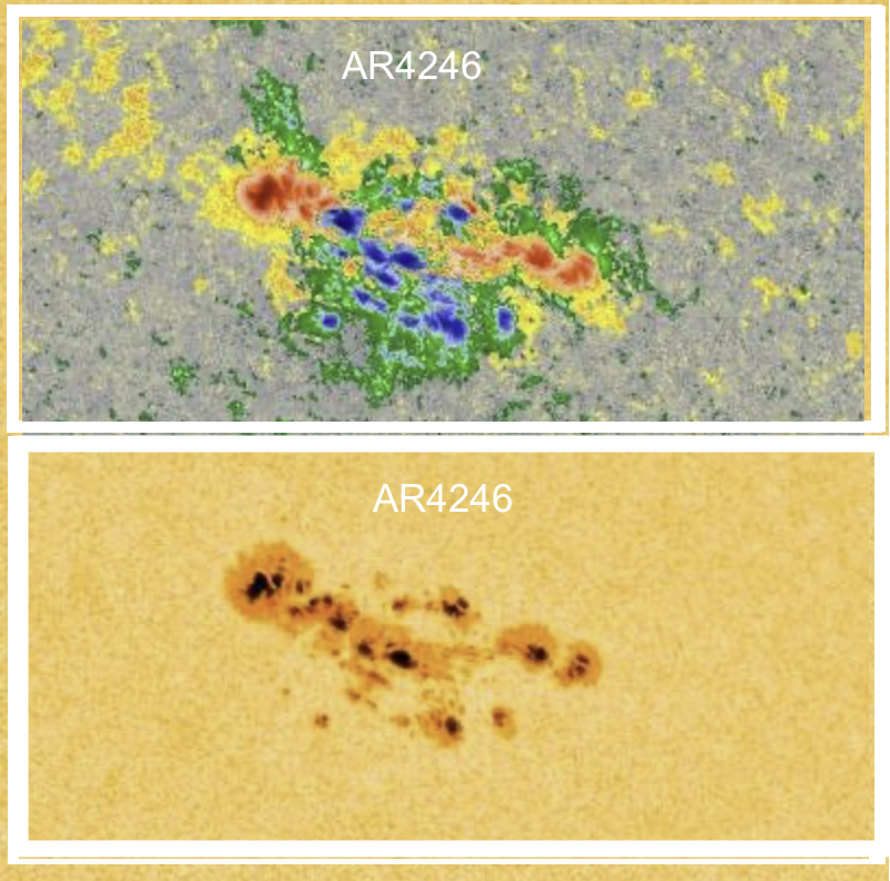 Closeup of irregular spots in color on a yellow background.