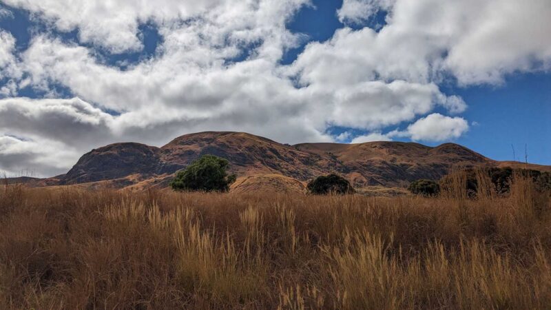 Dry grassland with big lumpy hills in the background without trees and blue sky with white clouds.