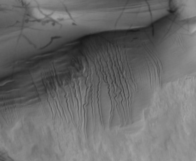 Gullies on Mars: Many long, thin and twisting gullies carved out in sand, seen from above.