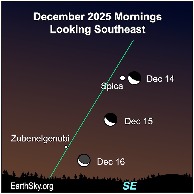 Chart showing a crescent shape lying near a dot, Spica, in the morning on December 14. On the following two mornings, a thinner crescent shape lies lower near another dot, the star Zubenelgenubi. Below them all is the wavy line of the horizon.