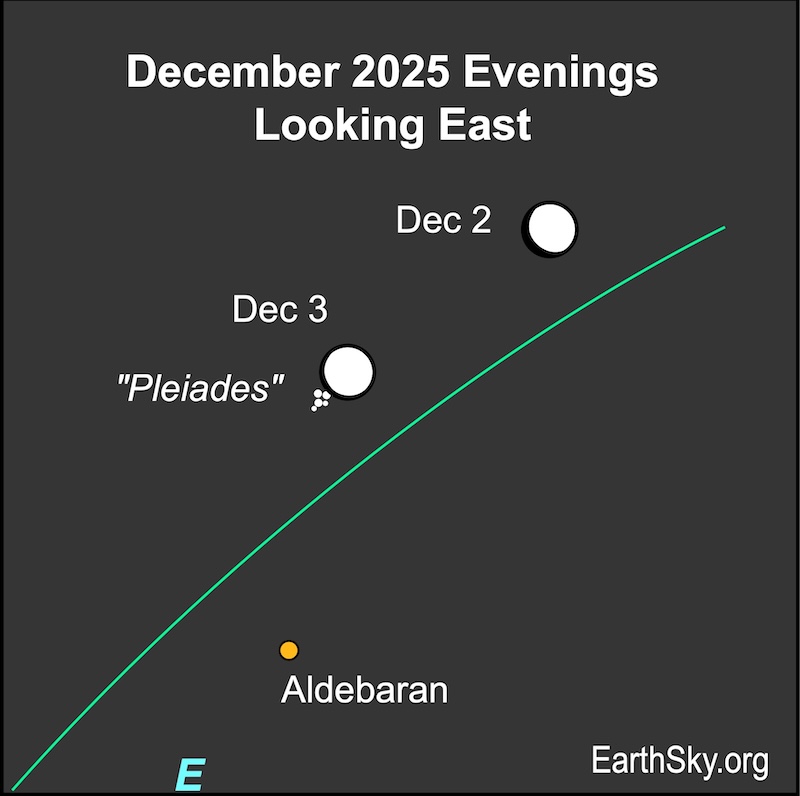 A fat hemisphere, the gibbous moon, lies to the upper right of a number of small white dots, the Pleiades star cluster, on the first night. On the second, the hemisphere is directly next to the small white dots.