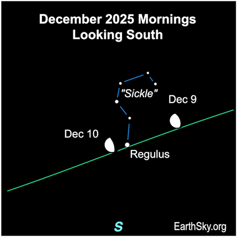 Chart showing a hemisphere, the moon, lying to the right of a dot, the star Regulus. On the next evening, the hemisphere is next to the dot. Above them are six small dots representing the stars of the "Sickle."
