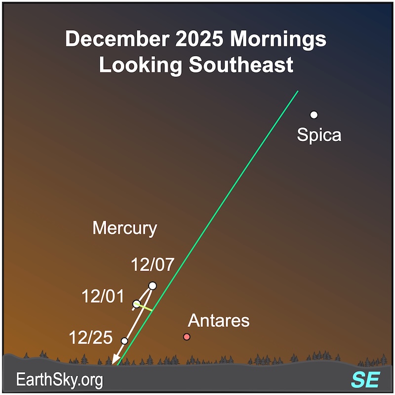 Star chart with line looping up and back down for Mercury from December 1 to 25. A dot, the star Antares, is right of the looping line.