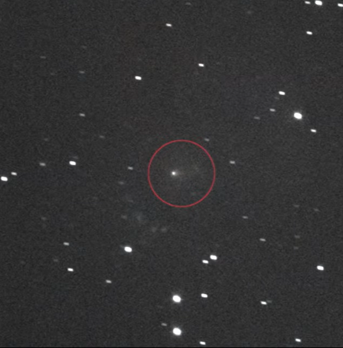 A fuzzy comet circled in red on a starry background.