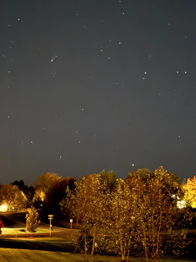 A starry sky with a comet at upper left and trees lit by houses.