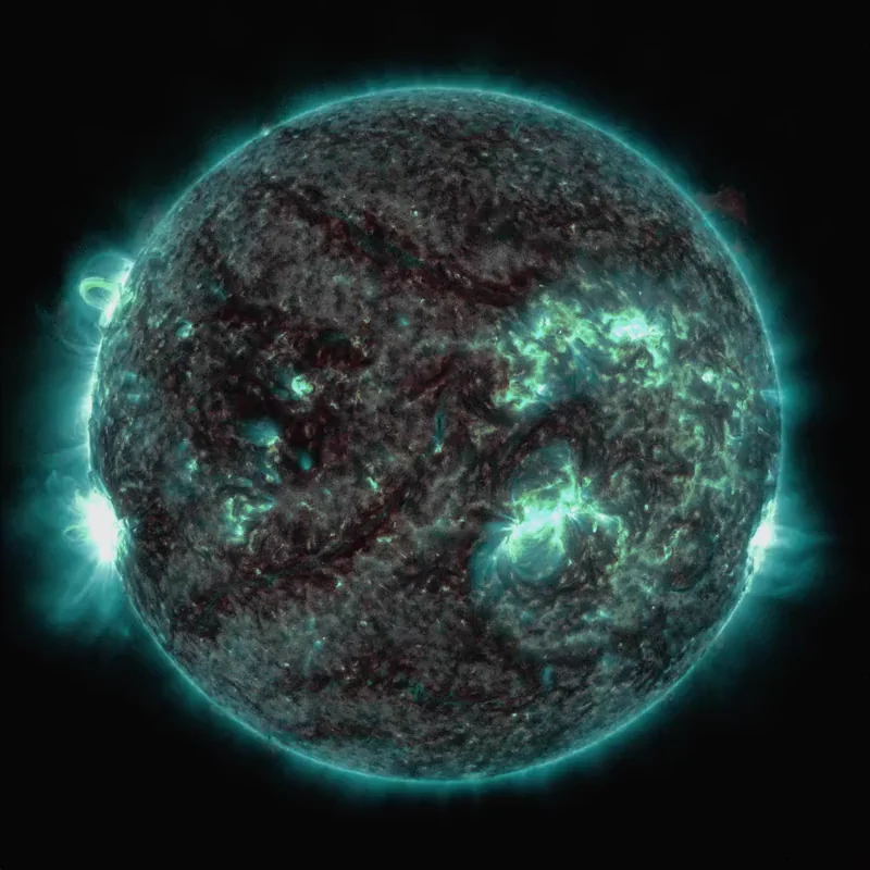 Sun's Going Wild 🌞