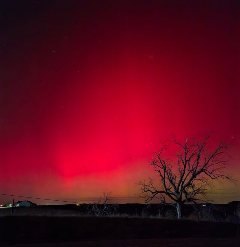 Deep red glow in the sky, 2 trees in the foreground and a few houses in the distance.