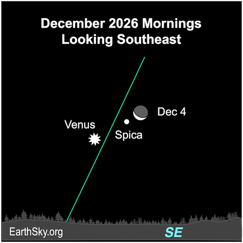 A thin crescent shape, the moon, lies immediately left of a starred white dot, Venus. Between them is a dot, the star Spica.