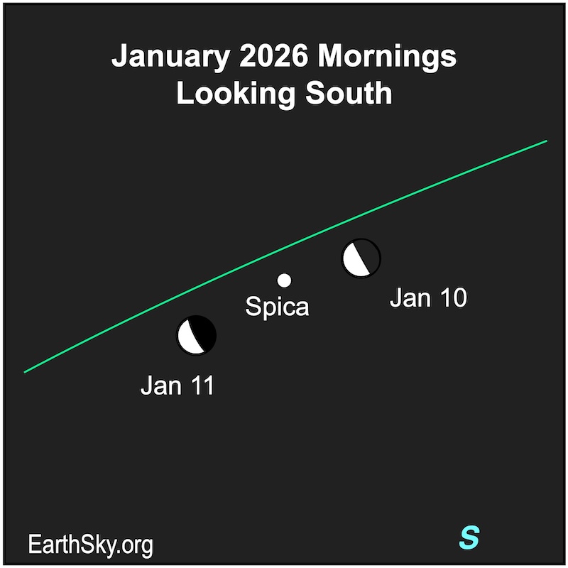A hemisphere, the moon, is right of a dot, Spica, in the morning on January 10. On the following morning, the hemisphere lies left of the dot.