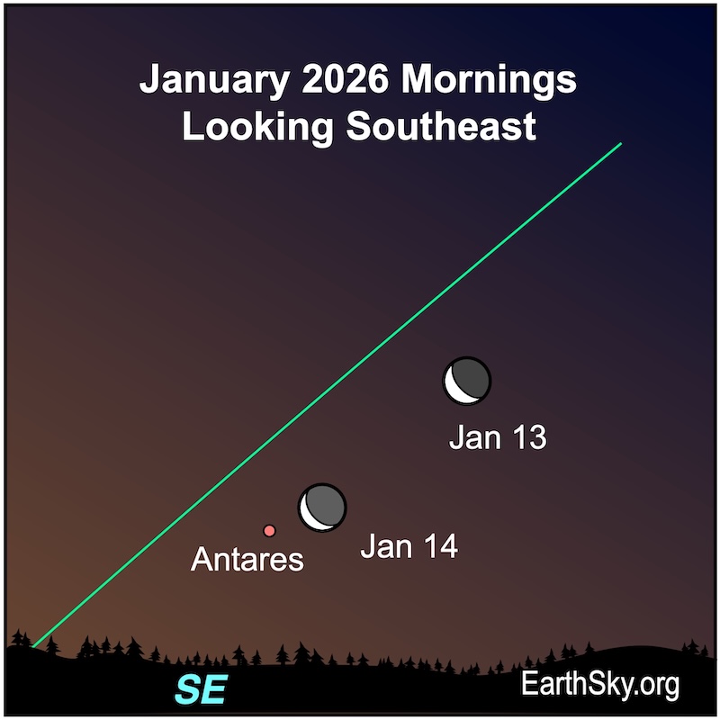 Chart showing a crescent shape, the moon, to the upper right of a dot, the star Antares. On the following morning, the crescent is next to the dot. They are all above a wavy line, the horizon.