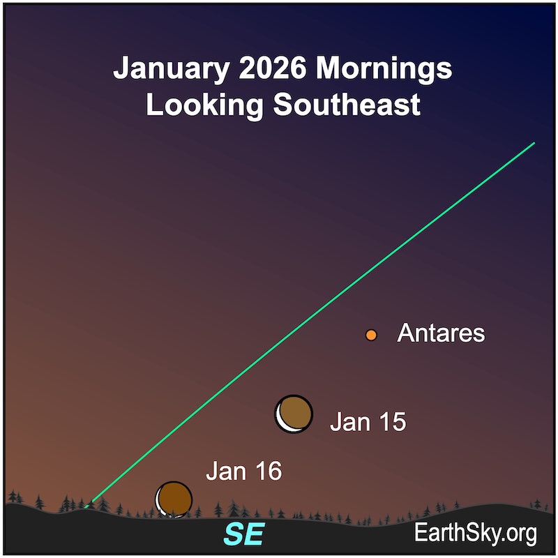 A slendor crescent shape, the moon, lies to the lower left of a dot, the star Antares. On the next morning, the crescent has moved immediately above a wavy line, the horizon.