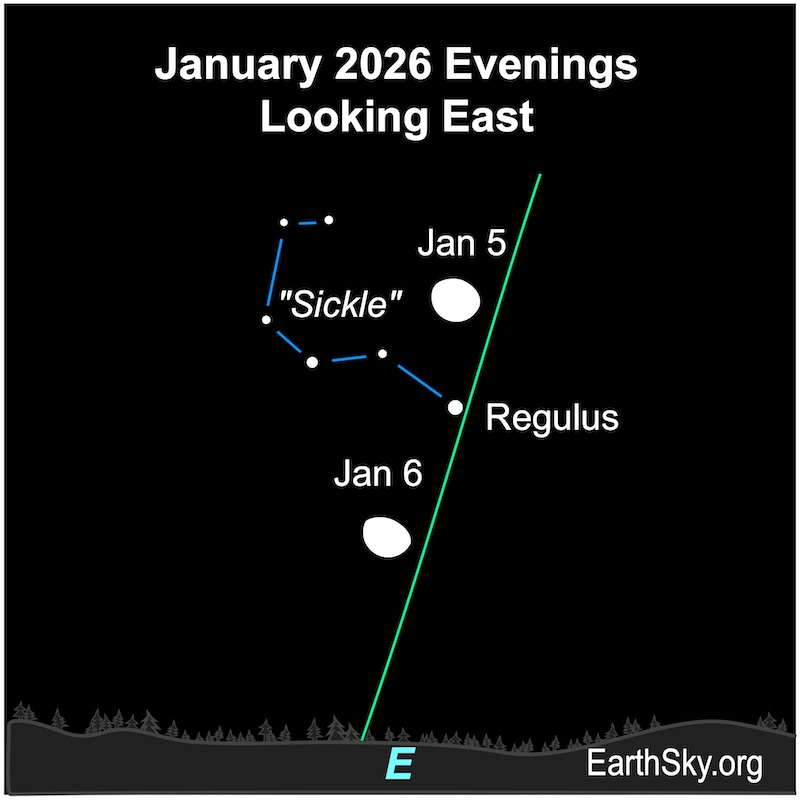 Chart showing a fat hemisphere, the moon, lying above a dot, the star Regulus. Five small dots, the "Sickle" asterism of Leo, are to the hemisphere's left. On the next evening, the hemisphere is below the dot, Regulus. They are all above a wavy line, the horizon.