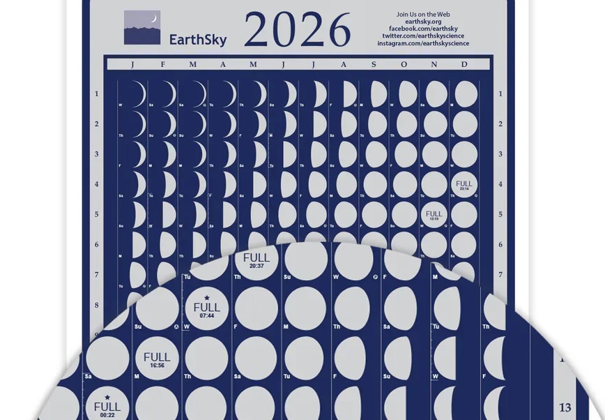 Cropped view of 2026 lunar calendar that shows lunar phase each day.