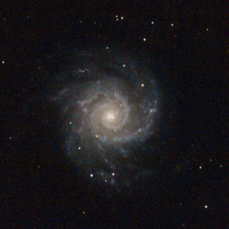 A large but faint face-on spiral in a field of sparse stars.
