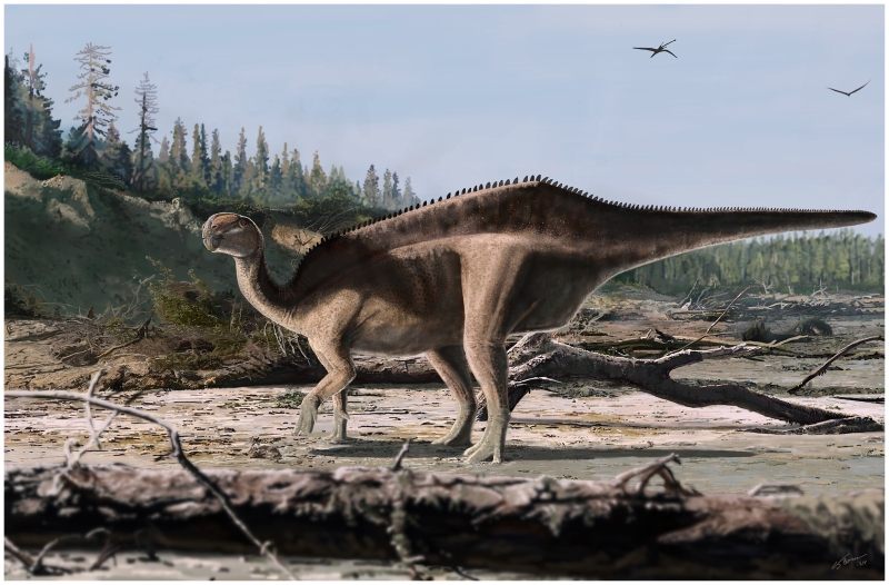 Четвороножни диносаурус са кичмом прекривеним леђима окренут налево на прашњавој чистини.