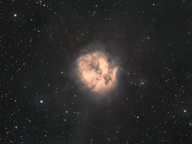 Deep-sky photos: A cocoon-shaped region of reddish gas with dark dust lanes and numerous foreground stars.