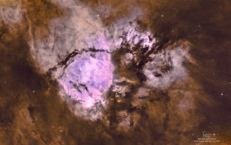 A large pink area of nebulosity with dark lanes, overlaid with a handful of faint stars.